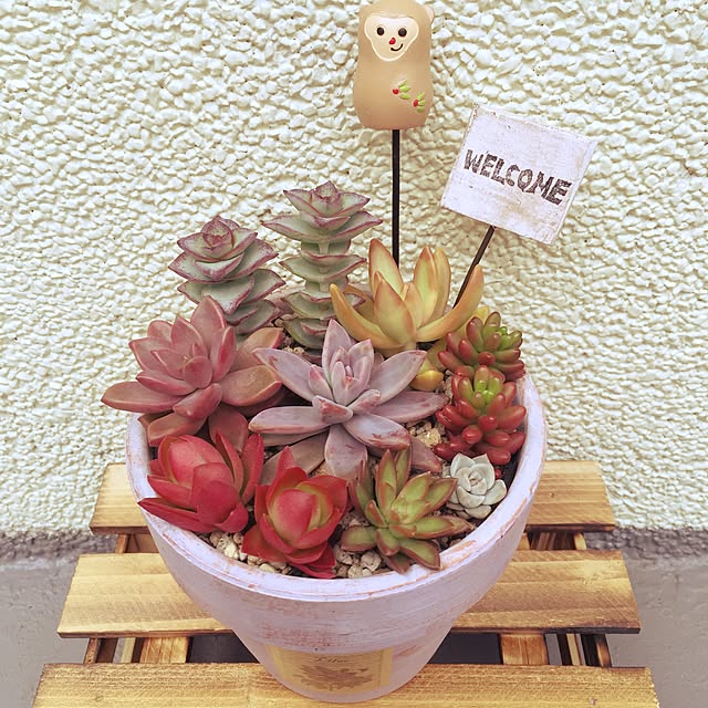 naocoさんの実例写真