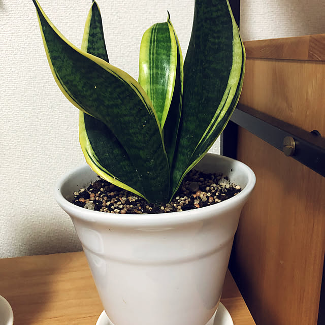 hanachanさんの部屋