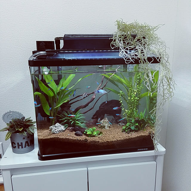 G.Mさんの実例写真