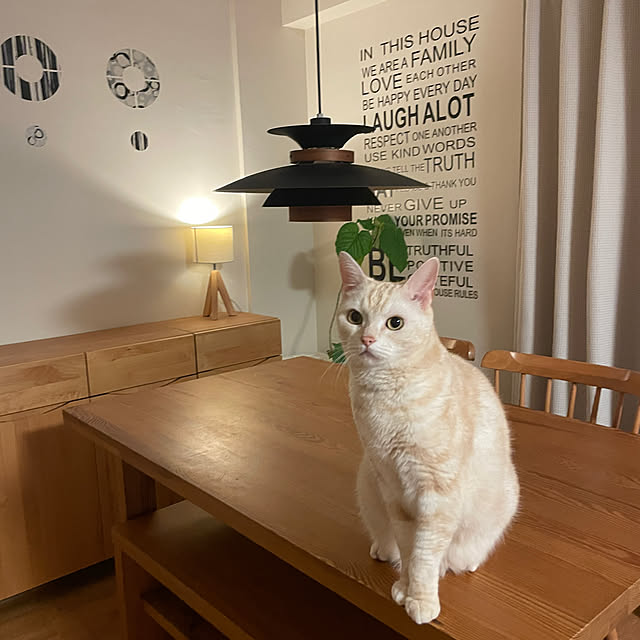hiyupan88さんの実例写真