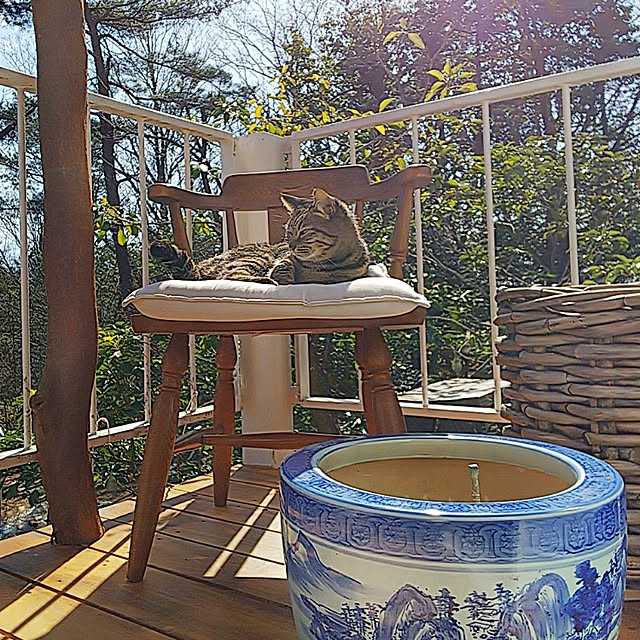 weさんの実例写真