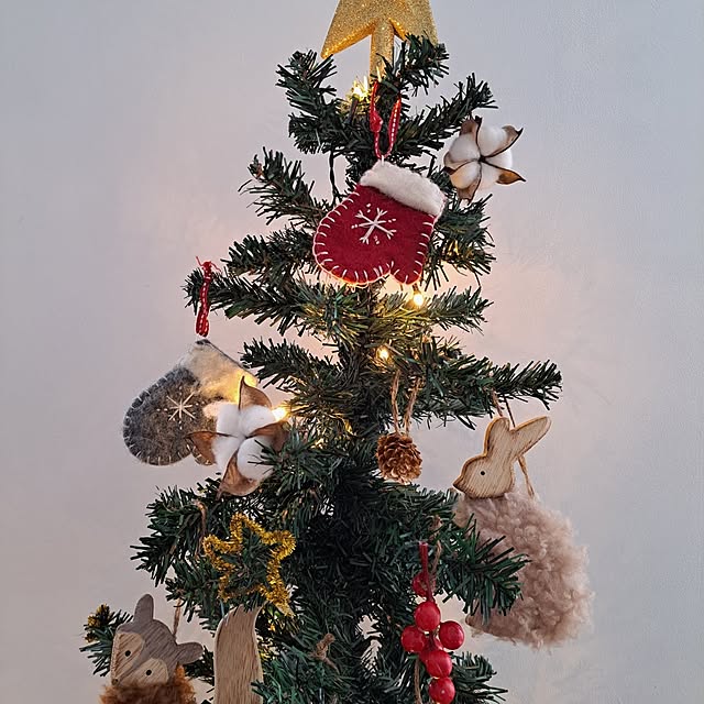 kankanmom_horn_5catsさんの部屋
