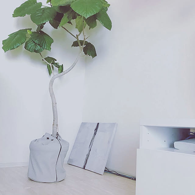 botanical_fieldさんの実例写真