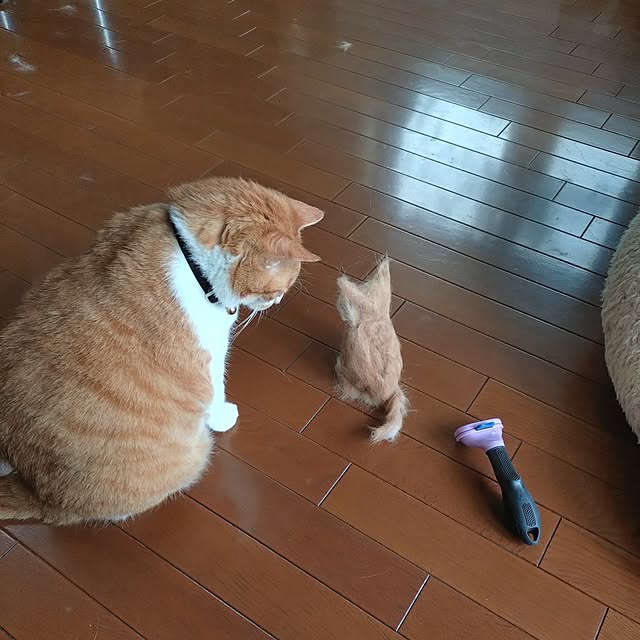 NOAHさんの部屋
