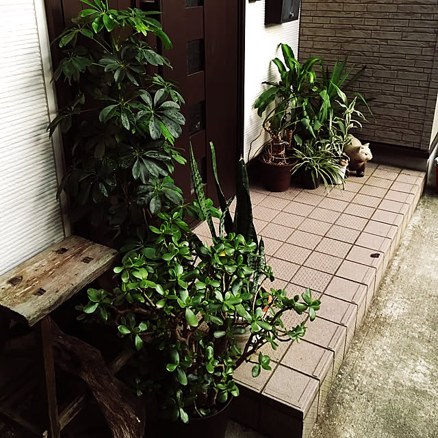 yujmさんの実例写真