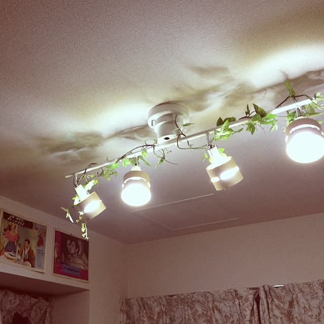 Risaさんの実例写真