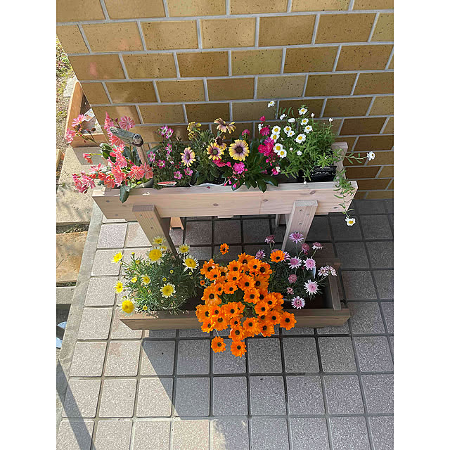 WOODPROさんの実例写真