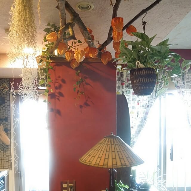 Yanagisawatomokoさんの実例写真