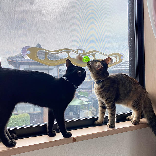 prelumoさんの実例写真