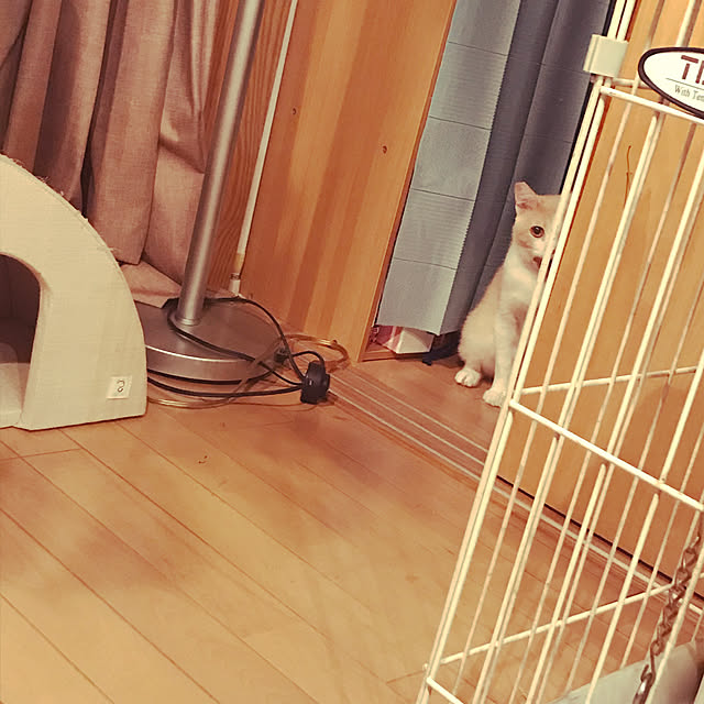 kou-kitiさんの実例写真