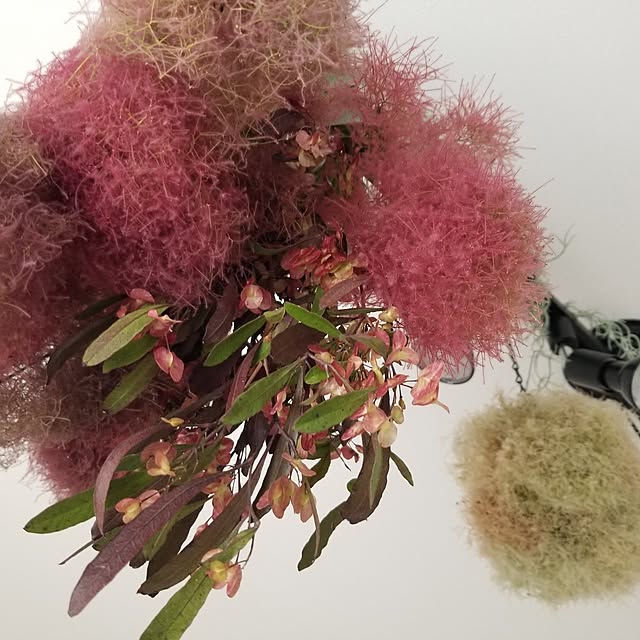 chieさんの実例写真
