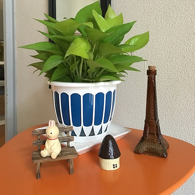 meluさんの実例写真