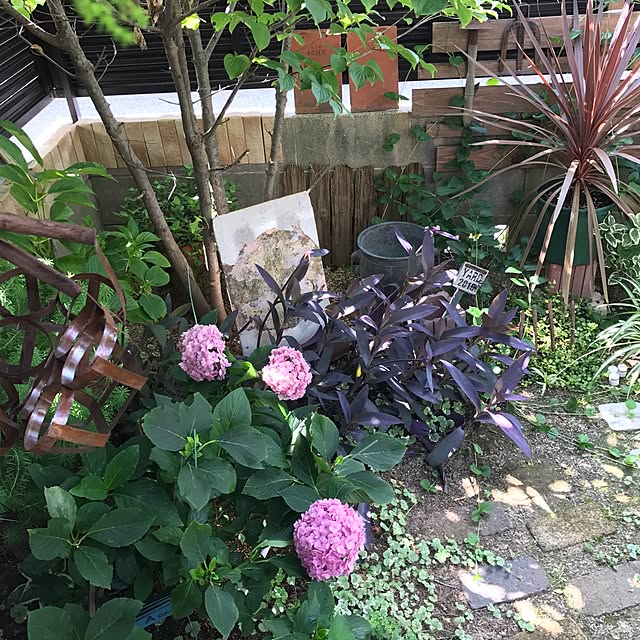 bibianさんの実例写真