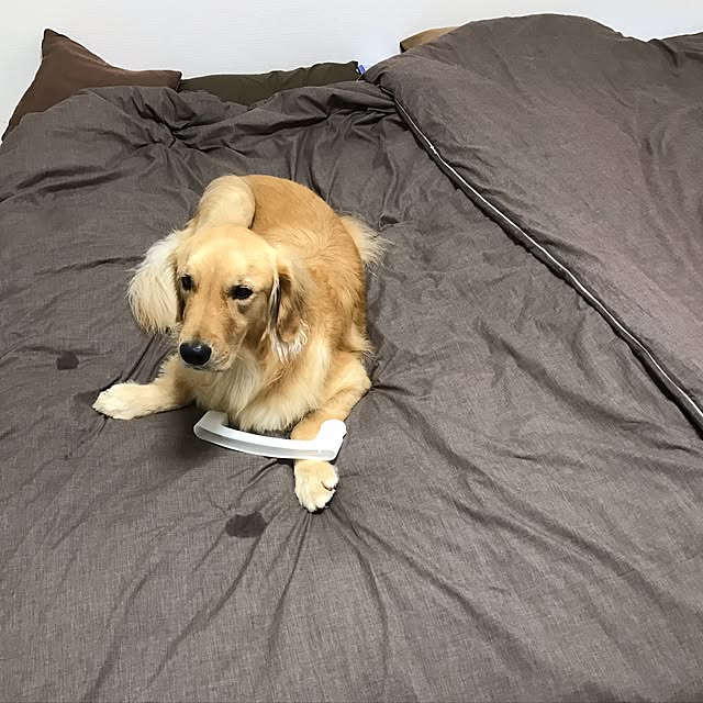 m_____11さんの実例写真