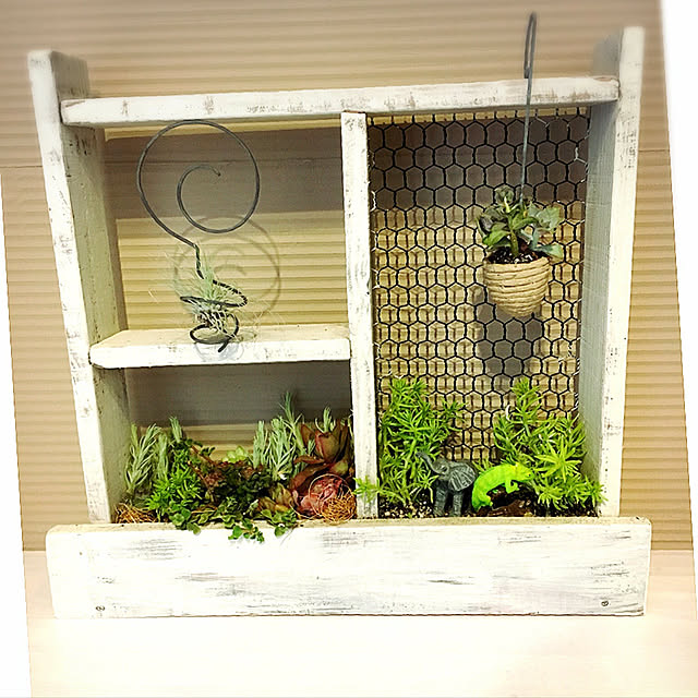 バス/トイレ/多肉植物/観葉植物/ガーデニング/ハンドメイド...などのインテリア実例 - 2021-09-13 15:30:48
