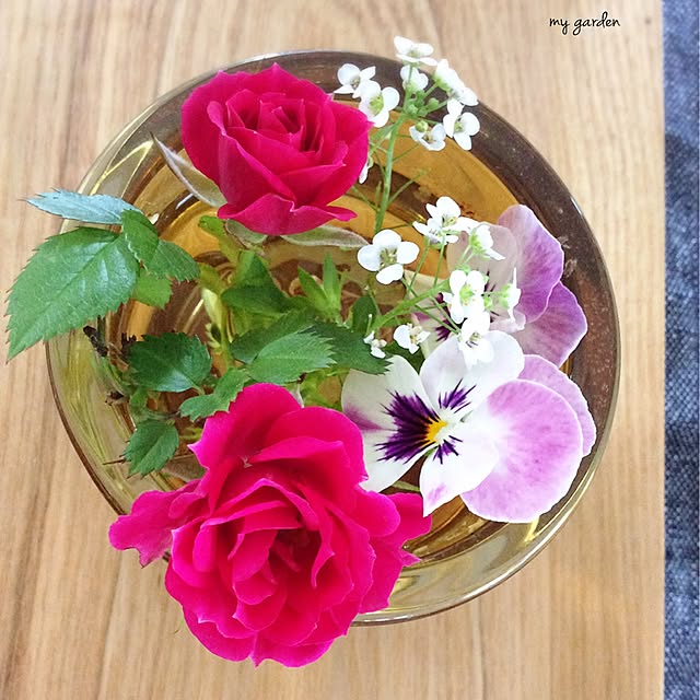 nikomaru2さんの実例写真
