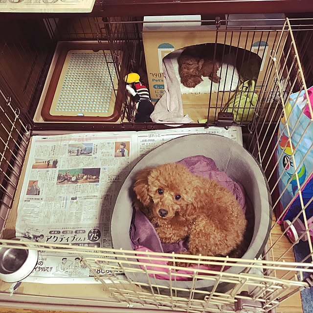 kenyaさんの実例写真
