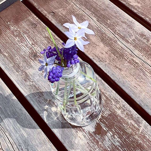 植物/玄関/入り口のインテリア実例 - 2021-04-03 12:27:18