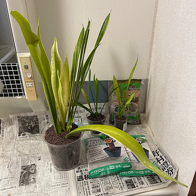 kikiさんの実例写真