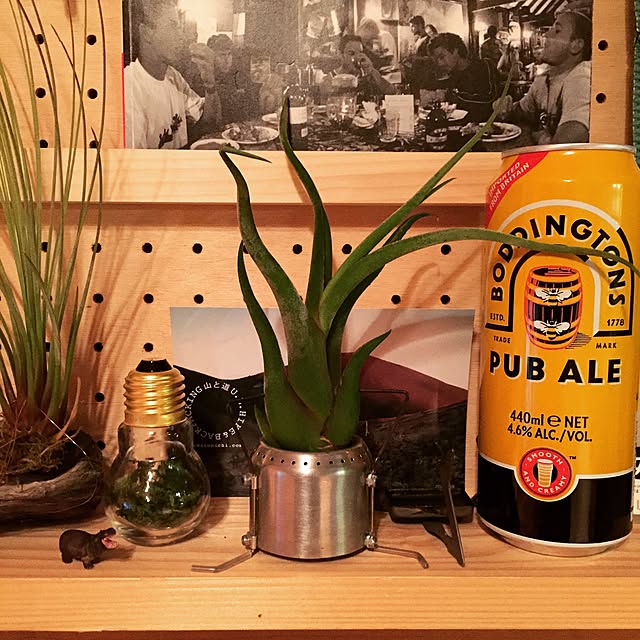 TakaRocks319さんの実例写真
