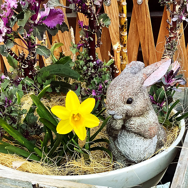 taeさんの部屋