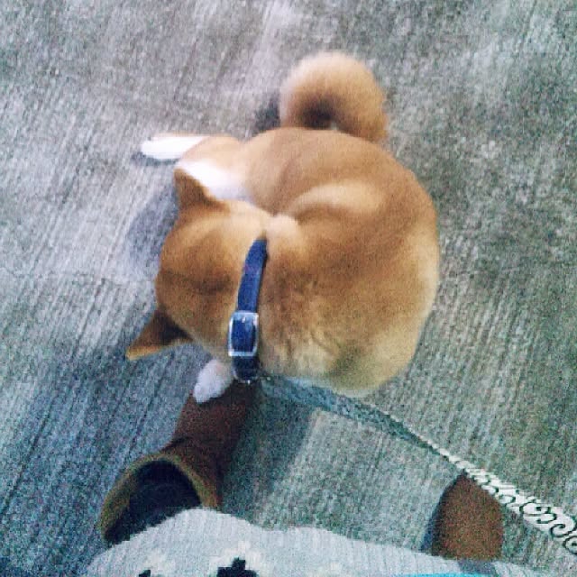 kotaさんの実例写真