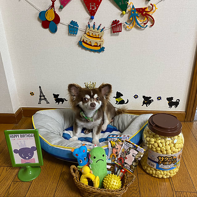 chIoeさんの実例写真