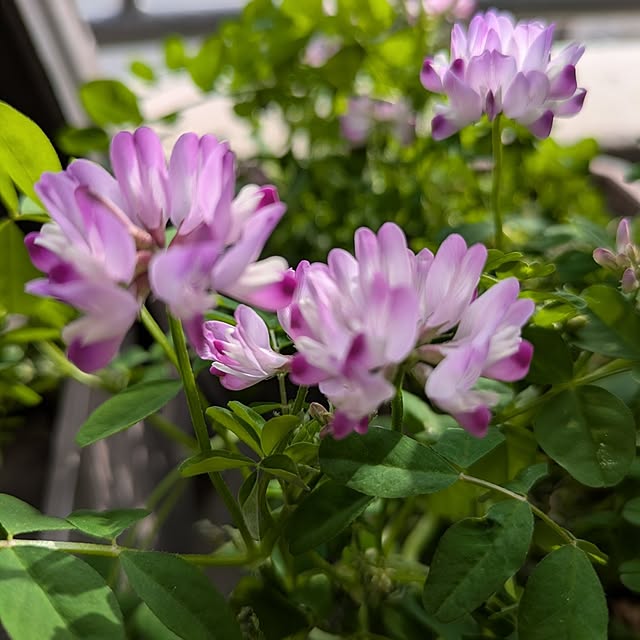 toramamaさんの部屋