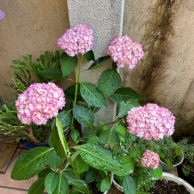 fumikoiさんの部屋