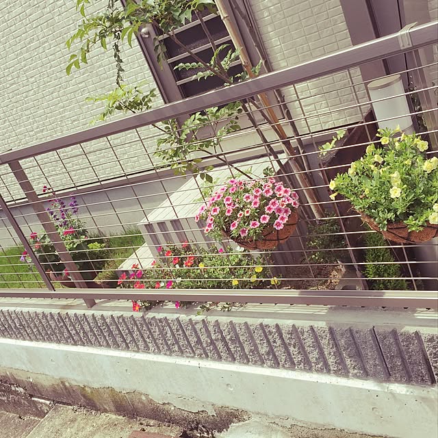 rika.hさんの実例写真