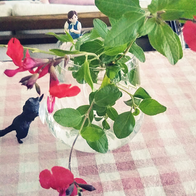 michiさんの実例写真