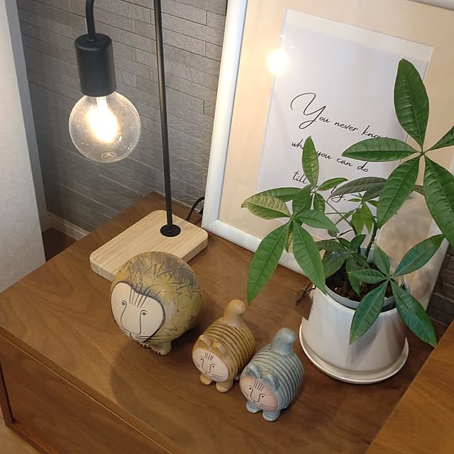 tan5さんの部屋