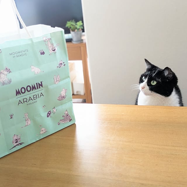 hihaさんの部屋