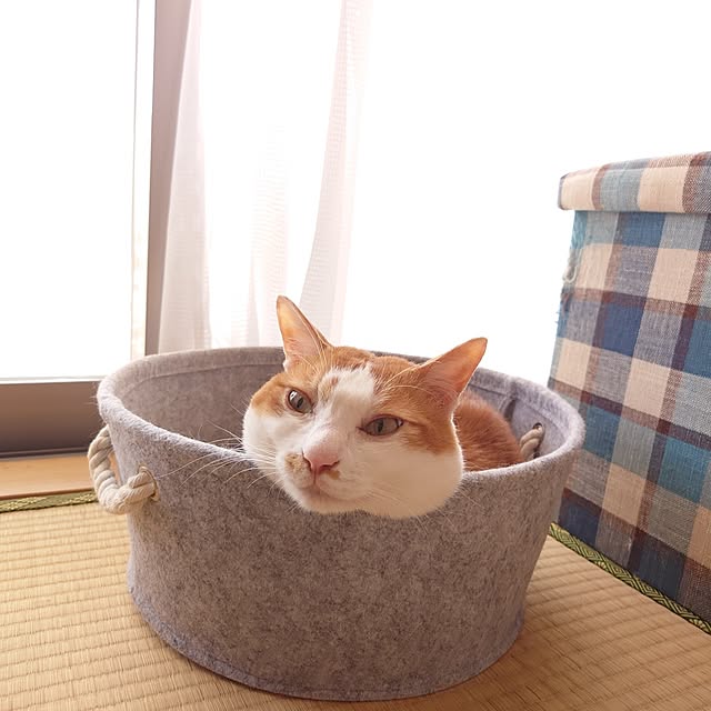 mugi77327732さんの実例写真