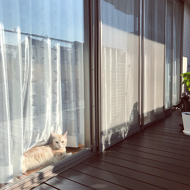 hiyupan88さんの実例写真