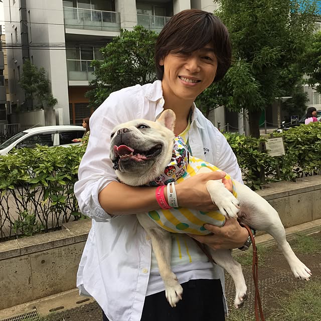 実例写真