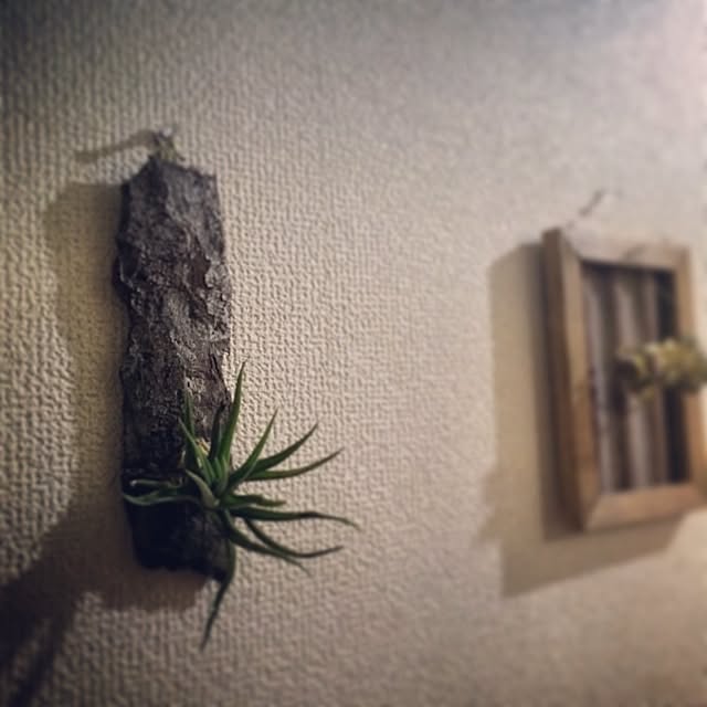koyoriさんの実例写真