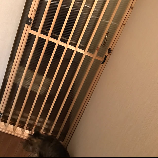 mori-6.12さんの実例写真