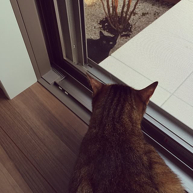 black9722さんの実例写真