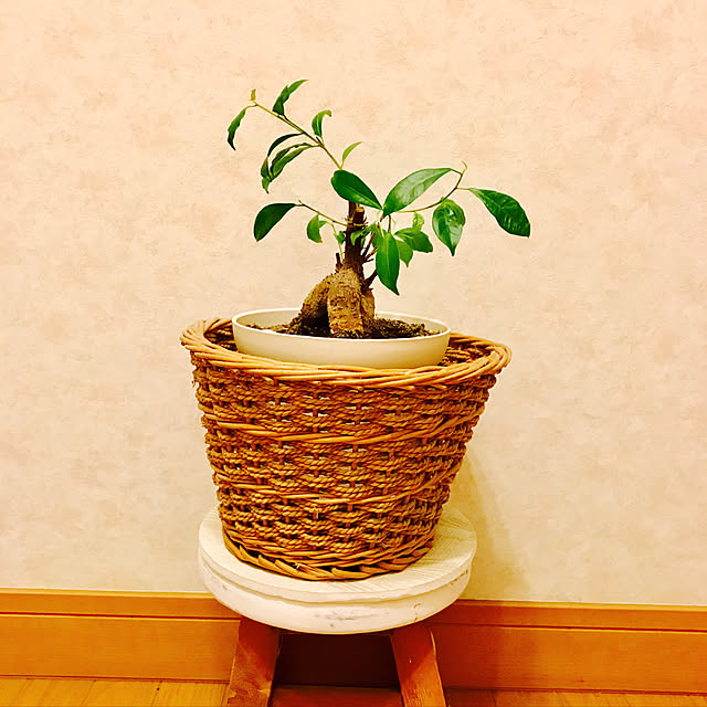 oyoさんの実例写真