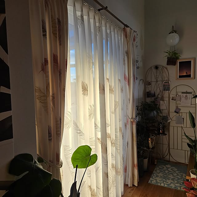 nonbiri_house_さんの部屋