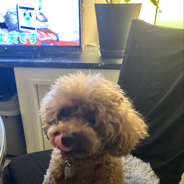 MOMOMAMAさんの部屋
