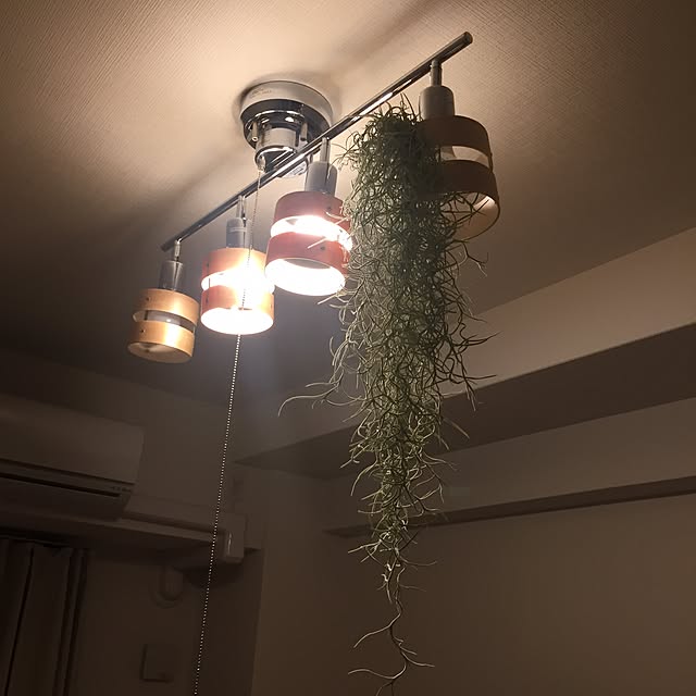 saachinさんの実例写真