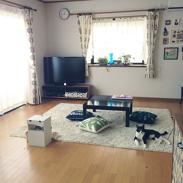 Kinanさんの実例写真