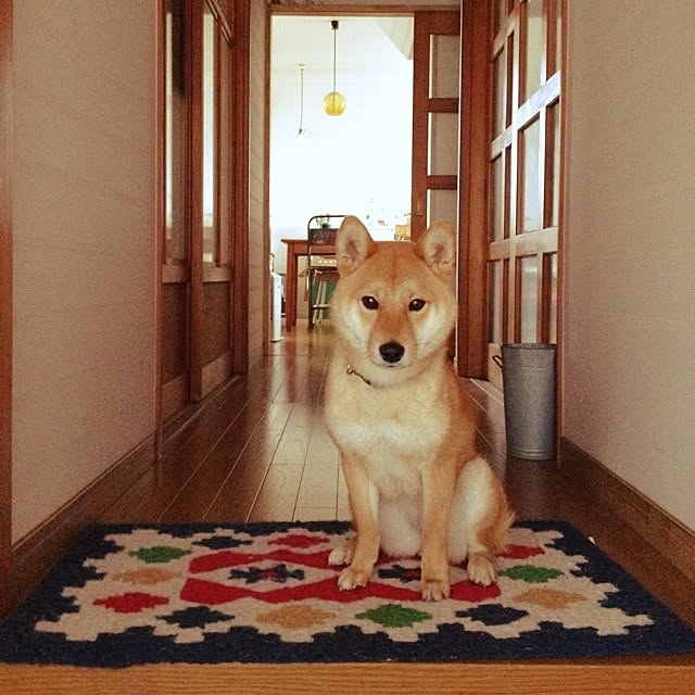 botanさんの実例写真