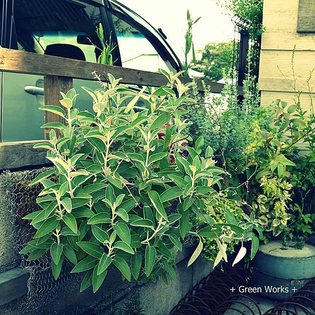 GreenWorksさんの実例写真