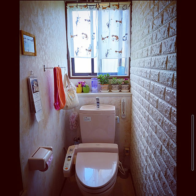 mntcさんの実例写真