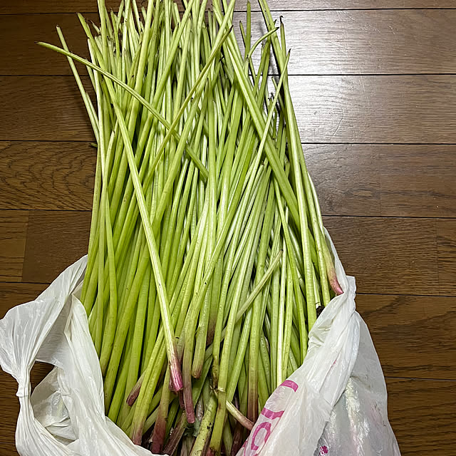 ritsukoさんの部屋