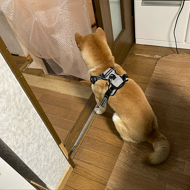 luckyさんの実例写真