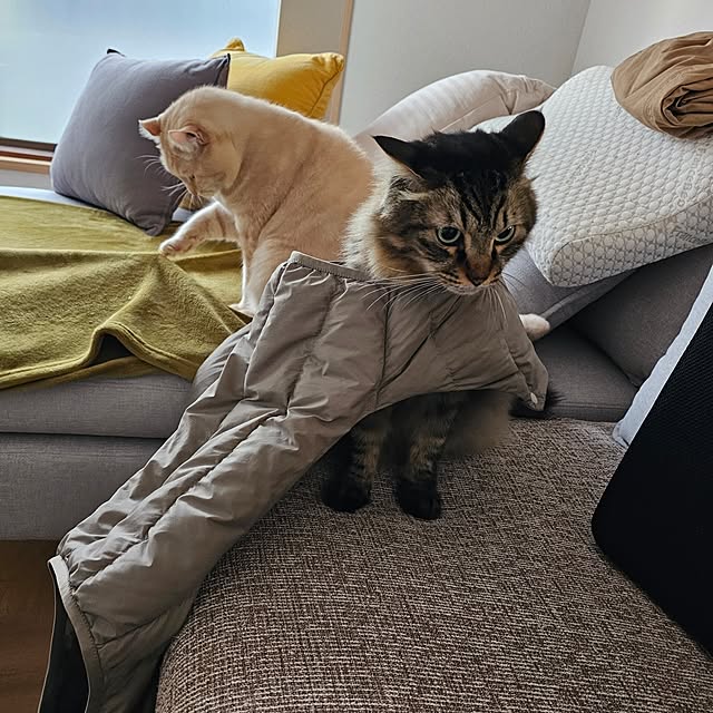 makoさんの部屋